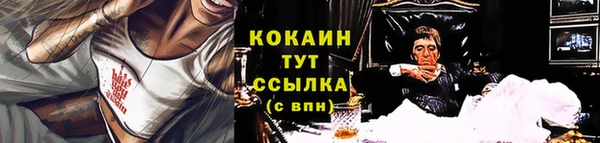 дмт Богородицк