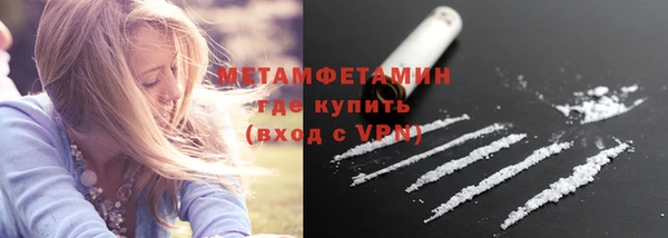метадон Богданович