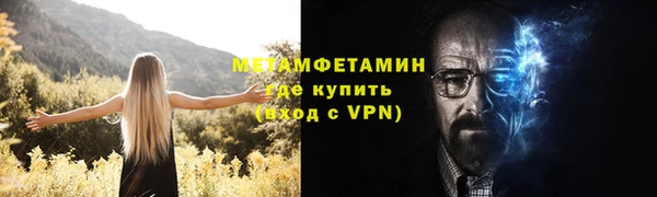 метадон Богданович