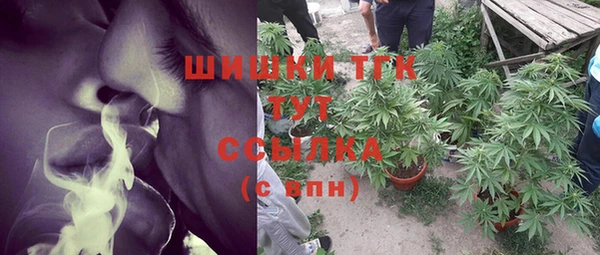 метадон Богданович