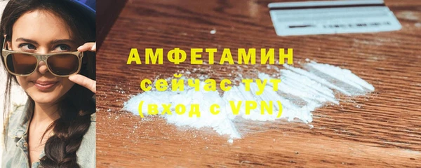 метадон Богданович